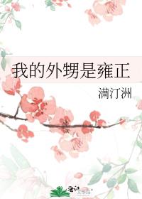 我的外甥是雍正