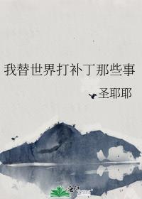 我替世界打补丁那些事