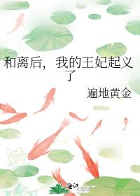 和离后,我的王妃起义了