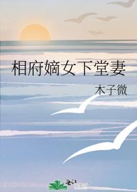 相府嫡女下堂妻