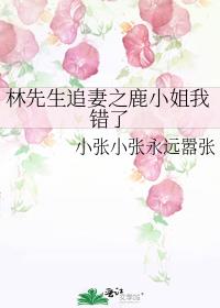 林先生追妻之鹿小姐我错了