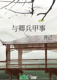 与卿兵甲事