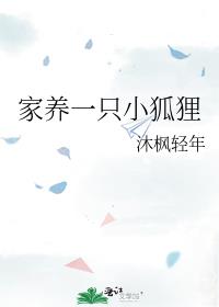 家养一只小狐狸