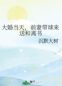 大婚当天,前妻带球来送和离书