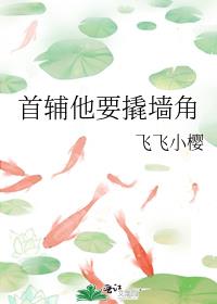 �׸���Ҫ��ǽ��