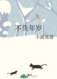 不负年岁