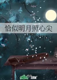 恰似明月照心尖