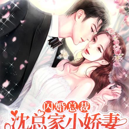 闪婚总裁,沈总家小娇妻又孕吐了