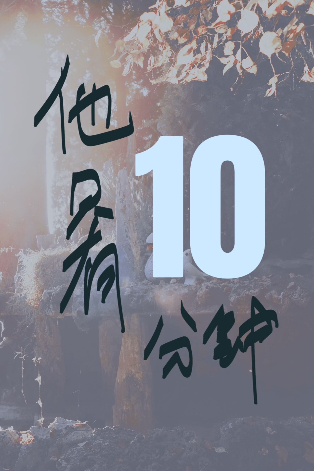 ��ֻ��ʮ����