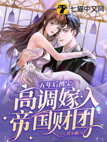 陆司霆林清语贝小暧