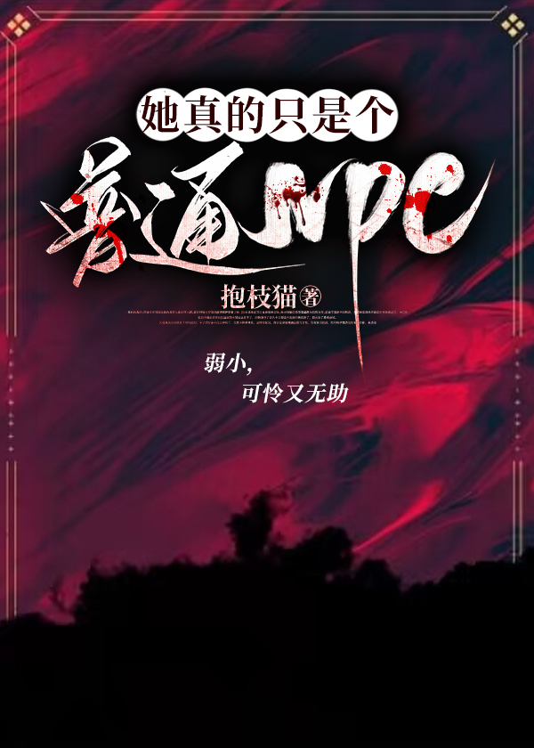 �������ֻ�Ǹ���ͨNPC