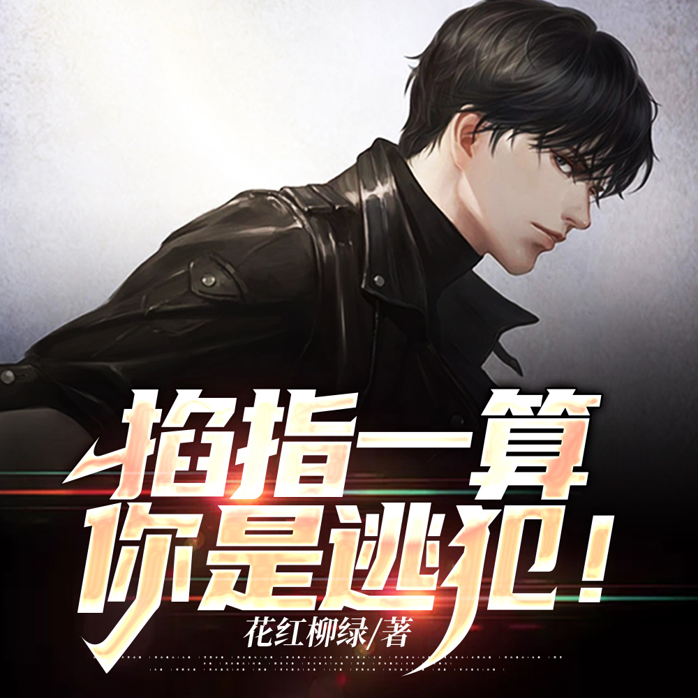 ˵����������׽�����ֵ�������