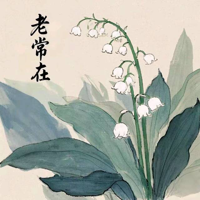 �ϳ��ڣ��崩��