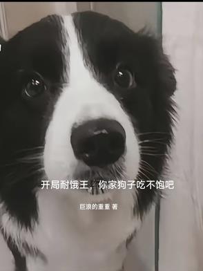 �����Ͷ�������ҹ��ӳԲ�����