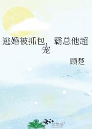 ӻ鱻ץ