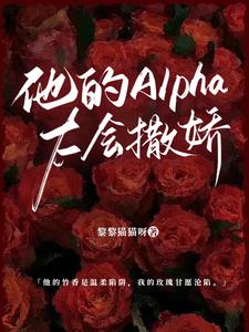 ����Alpha̫������