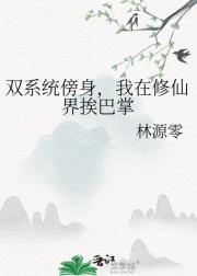 ˫ϵͳ�������������ɽ簤����