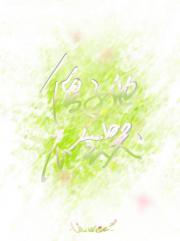 ɵ���������