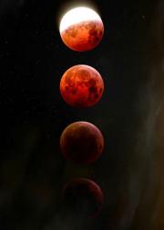 ĩ����������ָ��