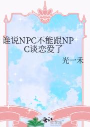 ˭˵NPCܸNPC̸