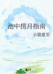 ��������ָ��