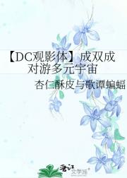 DCӰ塿˫ɶζԪ