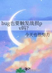 bugҲҪ����ս��pv��