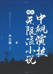 ����������С˵����ݼ�