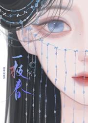 д��ʦ��������