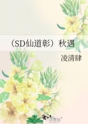 ��SD�ɵ��ã�����