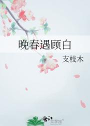 �������˰�