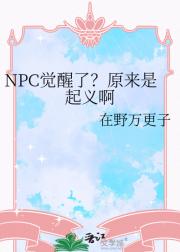 NPCˣԭ尡