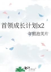 ����ɳ��ƻ�x2