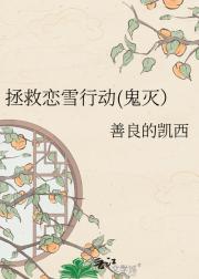 ������ѩ�ж�(����