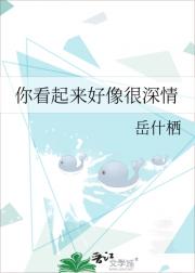 �㿴�������������