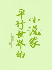 ƽ�������С˵��