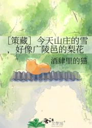 �۲߲أݽ���ɽׯ��ѩ����������ص��滨