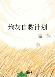 �ڻ��Ծȼƻ�