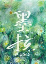 ī��������İ���С����