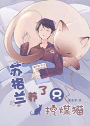 �ո�������ֻ��úè