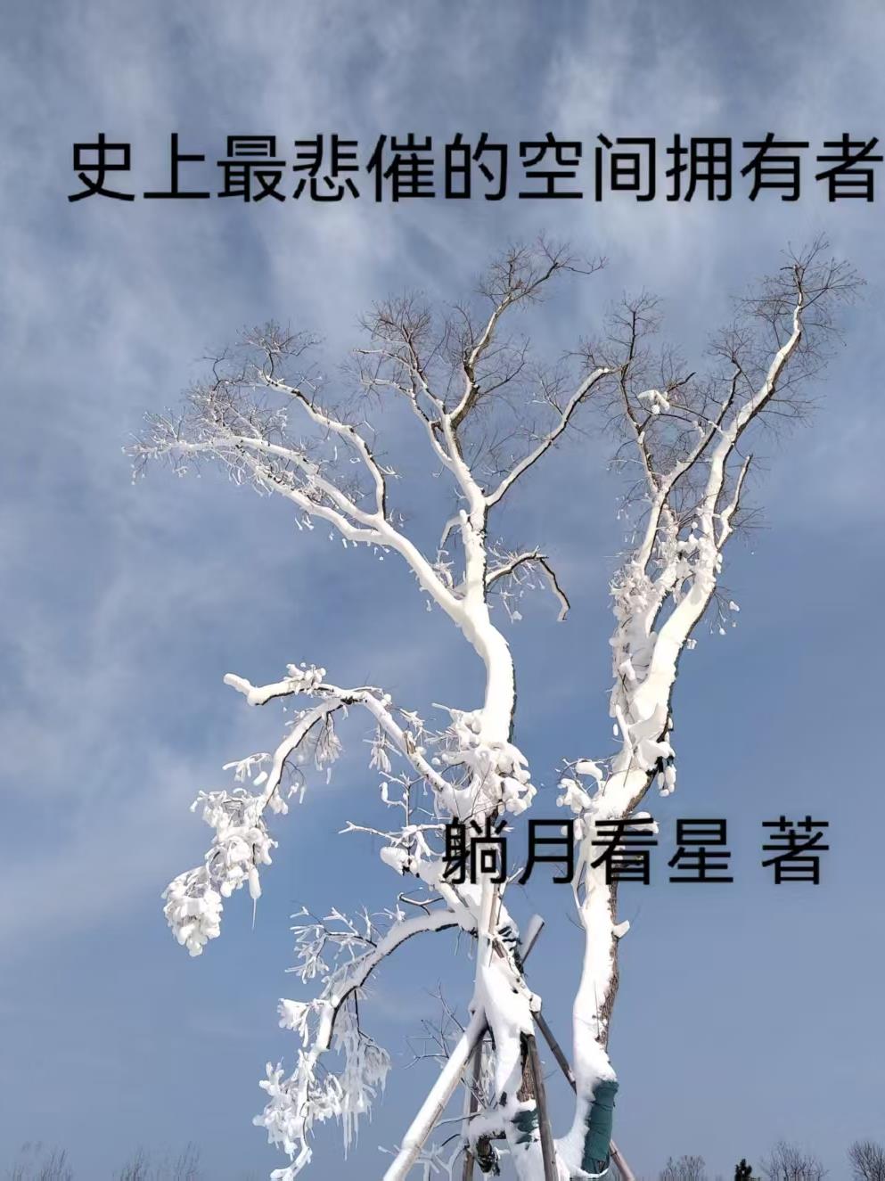 ʷ����ߵĿռ�ӵ����