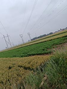 ������֮ǧ������İ���ǧ��